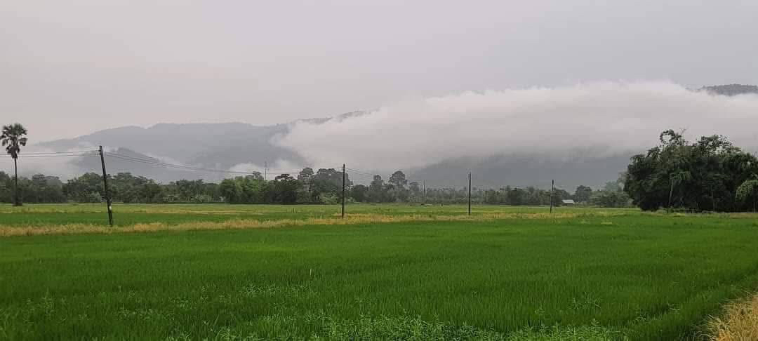 ขายด่วน! แบ่งขายที่ดิน 200 ตรว. อ.เมือง จ.นครนายก วิวสวยที่สุดในเขาพระ อากาศดีมาก มีเขาล้อมรอบ โทร 080-469-6692