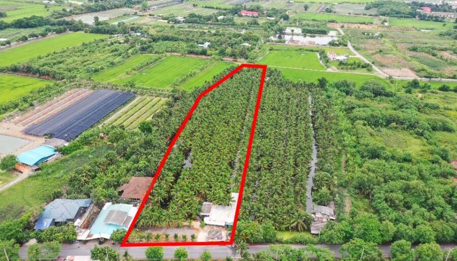 พื้นที่สวนมะพร้าว วิไลลักษณ์ ขายที่ดินพร้อมสวนมะพร้าว บางใหญ่ นนทบุรี เนื้อที่ 7 ไร่ 2 งาน 11 ตรว. โทร 088-2559999 เจ้าของขายเอง