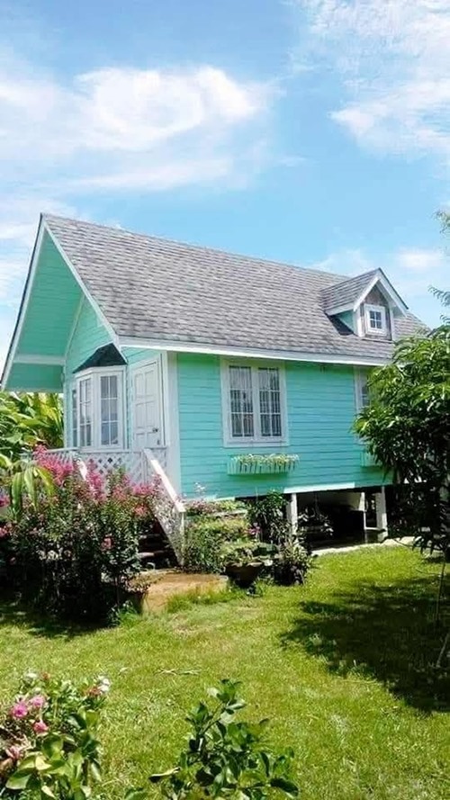 ขายบ้านสวน ไทรน้อย นนทบุรี 2.35 ลบ (ลดจาก 2.65 ลบ) พร้อมไม้ดอกผลไม้ อยู่ซอยแสนสบาย มีวิวทุ่งนา โทร 085-2619111