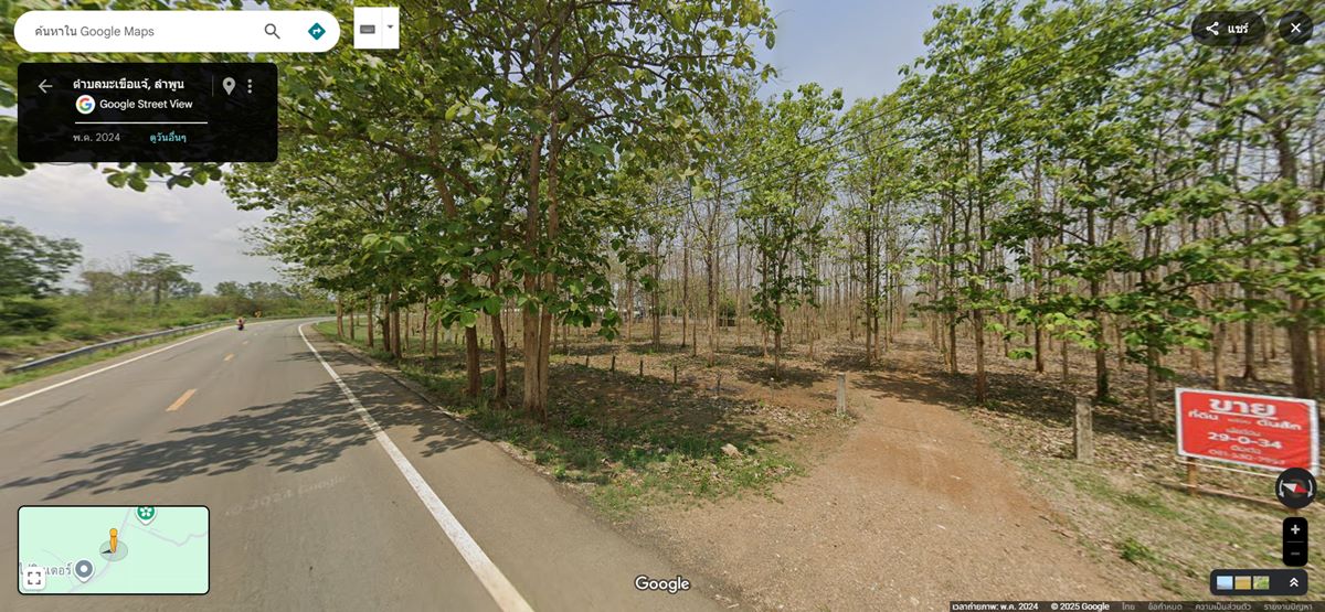 ด่วน! โอกาสทองสำหรับนักลงทุน ที่ดิน 29 ไร่ พร้อมสวนสักอายุ 12 ปี ใกล้เมืองลำพูน โทร 081-530-7997