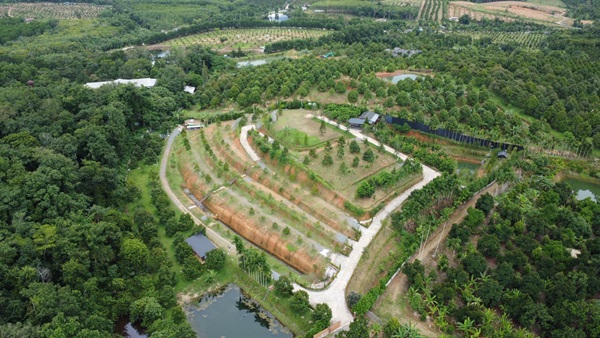 ขายสวนทุเรียน ขั้นบันได พร้อมบ้านตากอากาศบนเนินเขา สไตส์รีสอร์ท วิวหลักล้าน 11ไร่ อ.มะขาม จันทบุรี โทร 0830132000