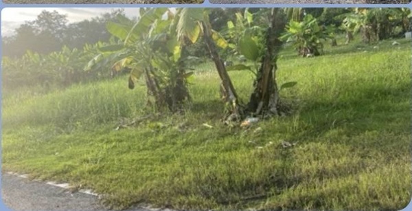 ขายที่ดิน ดอนเจริญ เมืองนครนายก 200 ตร.ว. ติดถนน มีน้ำ มีไฟ พร้อม โทร 0995465591