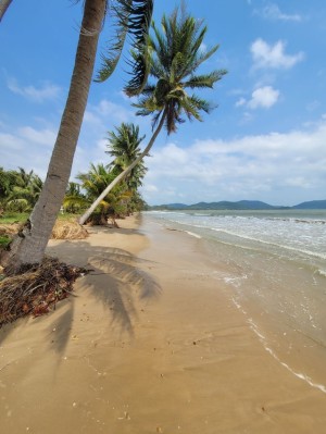 ที่ดิน ขาย ที่ดินติดทะเลชุมพร-หาดขาวสะอาด ติดทะเลชุมพรใกล้แหล่งท่องเที่ยว หาดส่วนตัวอ่าวทุ่งมะขาม รีสอร์ท เหมาะทำโรงแรม