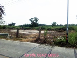 ที่ดิน ขาย เหมาะจัดสรรแบ่งขาย, โครงการเชิงพาณิชย์ ขายถูก เหมาะทำหมู่บ้านจัดสรร ที่ดินธัญบุรีคลอง6,หรือปทุมธานี