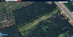 ที่ดิน ขาย ที่ดินพัทลุงราคาถูก ที่ดินป่าบอนถูกกว่าใกล้เคียง พร้อมไฟฟ้าน้ำประปา ติดถนนเพชรเกษม อสังหาพัทลุงราคาคุ้มสุด