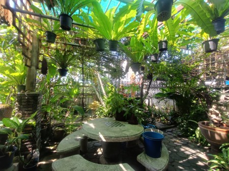 บ้าน ขาย สะดวกเดินทางหลายทาง ใกล้โรงพยาบาลเปาโลโชคชัย4 บ้านมือสองลาดพร้าวโชคชัย4 เกษตรนวมินทร์–เอกมัย–รามอินทรา เลียบด่วน