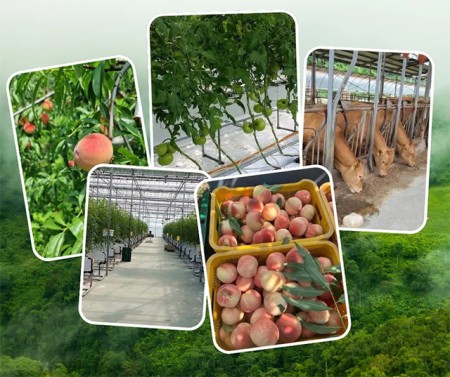 ประกาศ บริการ รับจัดหางาน ไม่หลอกลวงทำงานต่างประเทศถูกกฎหมาย งานประเทศอิสราเอล งานประเทศเกาหลีใต้ งานสวนประเทศออสเตรเลีย